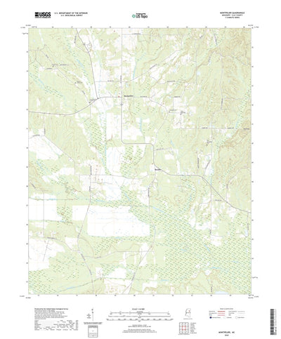 Montpelier, MS (2020, 24000-Scale) Preview 1
