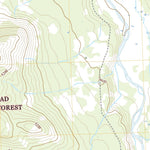 Big Salmon Lake East, MT (2020, 24000-Scale) Preview 2