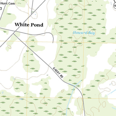 Gaddysville, NC (2019, 24000-Scale) Preview 2