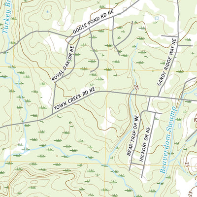 Lewis Swamp, NC (2019, 24000-Scale) Preview 3
