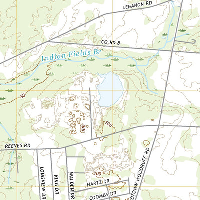 Bridgeton, NJ (2019, 24000-Scale) Preview 2