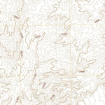 Bernalillo NW, NM (2020, 24000-Scale) Preview 3