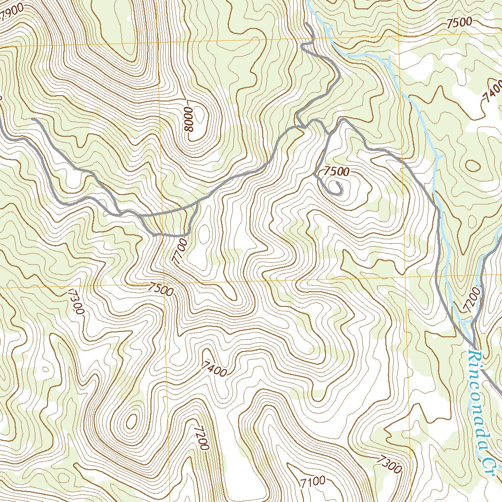 Lobo Springs, NM (2020, 24000-Scale) Map by United States Geological ...