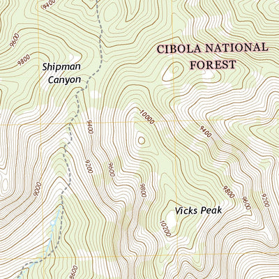 Vicks Peak, NM (2020, 24000-Scale) Preview 2