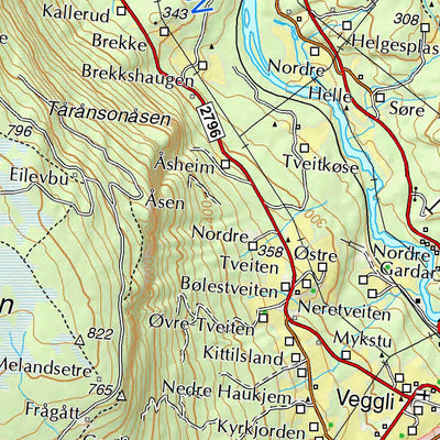 Municipality of Rollag