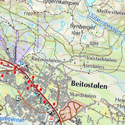 Municipality of Øystre Slidre