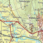 Municipality of Åsnes