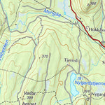 Municipality of Kongsvinger