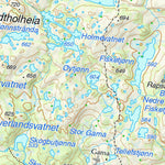 Municipality of Nissedal