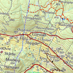 Municipality of Vestre Slidre