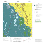 Nicholson Surface Geology 2021