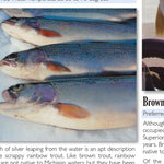 Northern MI All-Outdoors Atlas & Field Guide pg. 008-009