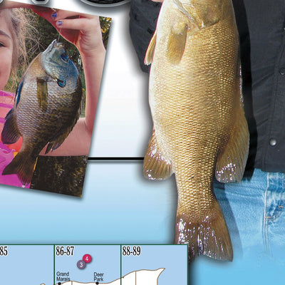 Northern MI All-Outdoors Atlas & Field Guide pg. 004-005