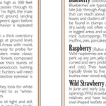 Northern MI All-Outdoors Atlas & Field Guide pg. 024-025
