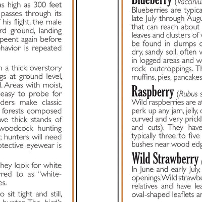 Northern MI All-Outdoors Atlas & Field Guide pg. 024-025