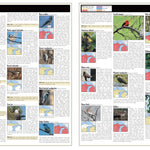 Northern MI All-Outdoors Atlas & Field Guide pg. 046-047