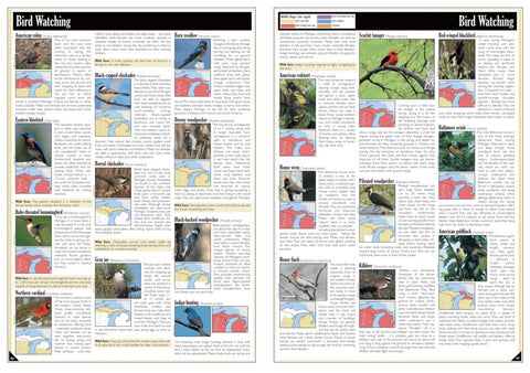 Northern MI All-Outdoors Atlas & Field Guide pg. 046-047