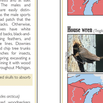 Northern MI All-Outdoors Atlas & Field Guide pg. 046-047