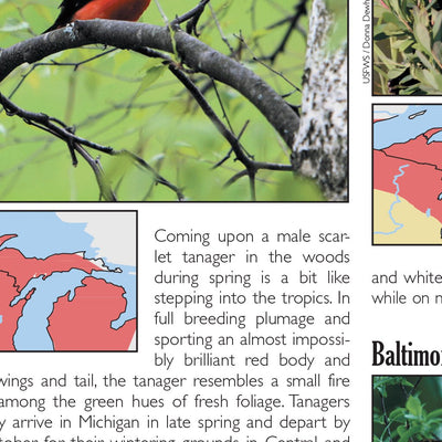 Northern MI All-Outdoors Atlas & Field Guide pg. 046-047