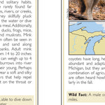 Northern MI All-Outdoors Atlas & Field Guide pg. 042-043
