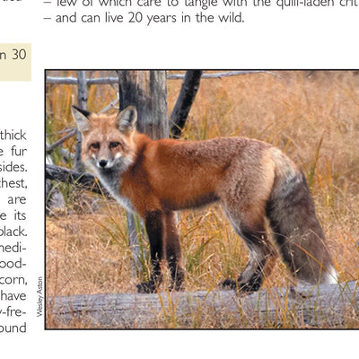 Northern MI All-Outdoors Atlas & Field Guide pg. 042-043