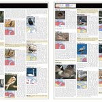 Northern MI All-Outdoors Atlas & Field Guide pg. 048-049
