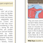 Northern MI All-Outdoors Atlas & Field Guide pg. 048-049