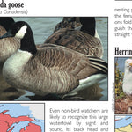 Northern MI All-Outdoors Atlas & Field Guide pg. 048-049