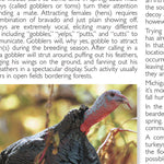 Northern MI All-Outdoors Atlas & Field Guide pg. 022-023