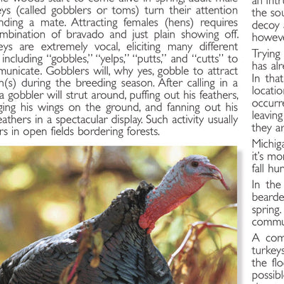 Northern MI All-Outdoors Atlas & Field Guide pg. 022-023