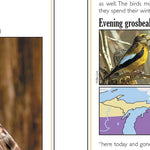Northern MI All-Outdoors Atlas & Field Guide pg. 044-045