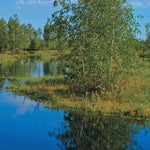 Northern MI All-Outdoors Atlas & Field Guide pg. 110-111