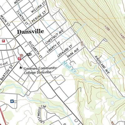Dansville, NY (2019, 24000-Scale) Preview 2