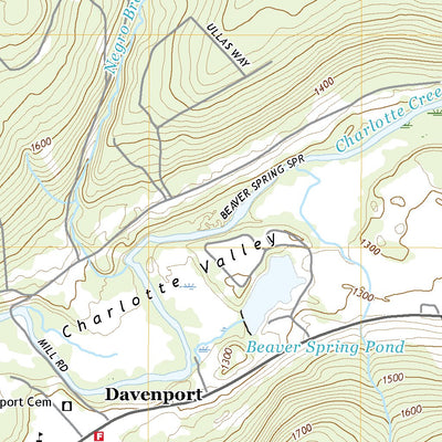Davenport, NY (2019, 24000-Scale) Preview 3