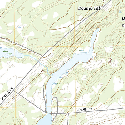 Dexter, NY (2019, 24000-Scale) Preview 3