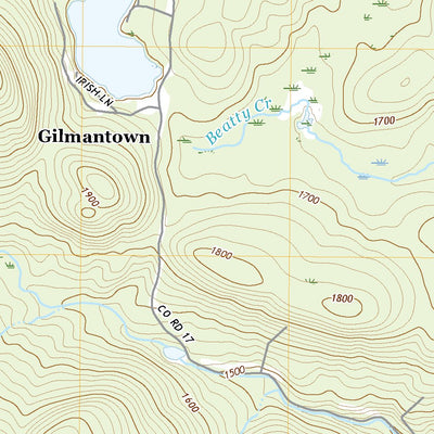 Wells, NY (2019, 24000-Scale) Preview 2