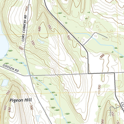 Williamson, NY (2019, 24000-Scale) Preview 3