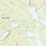 Witherbee, NY (2019, 24000-Scale) Preview 3