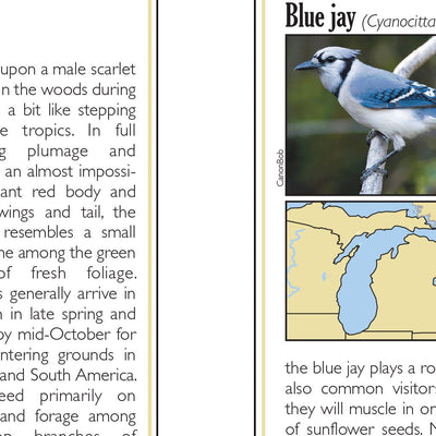 Southern MI All-Outdoors Atlas & Field Guide pg. 038-039
