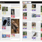 Southern MI All-Outdoors Atlas & Field Guide pg. 036-037