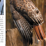 Southern MI All-Outdoors Atlas & Field Guide pg. 036-037