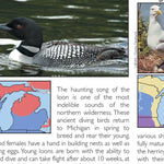 Southern MI All-Outdoors Atlas & Field Guide pg. 040-041