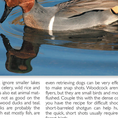 Southern MI All-Outdoors Atlas & Field Guide pg. 022-023