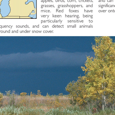Southern MI All-Outdoors Atlas & Field Guide pg. 034-035