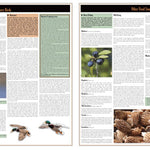 Northern WI All-Outdoors Atlas & Field Guide pg. 028-029 Preview 1