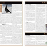 Northern WI All-Outdoors Atlas & Field Guide pg. 026-027