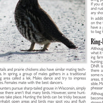 Northern WI All-Outdoors Atlas & Field Guide pg. 026-027