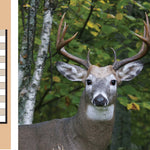 Northern WI All-Outdoors Atlas & Field Guide pg. 022-023