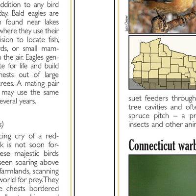 Northern WI All-Outdoors Atlas & Field Guide pg. 044-045