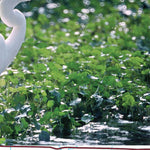 Northern WI All-Outdoors Atlas & Field Guide pg. 080-081